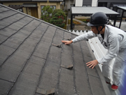 屋根（雨水）