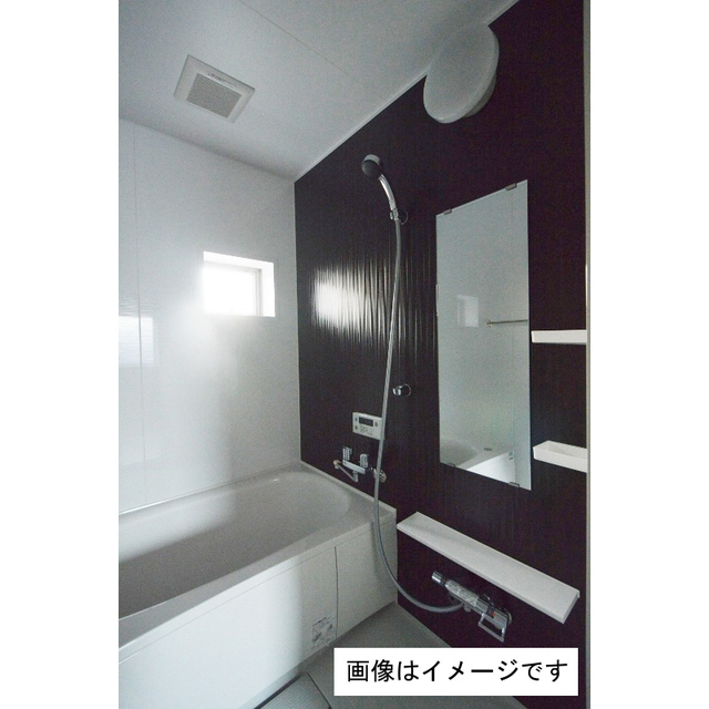 バス